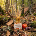 Diffusore Melograno e Prugna 100 ml
