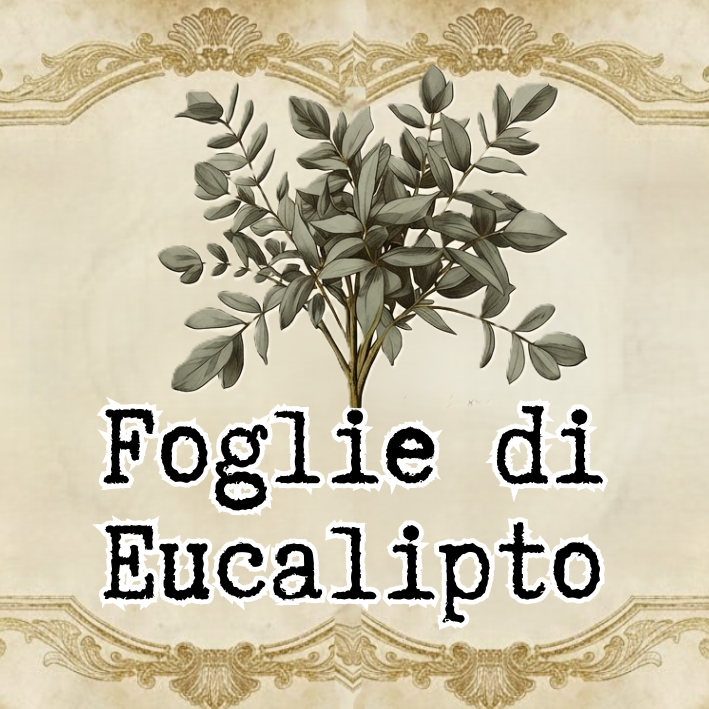 Tartine - Foglie di Eucalipto