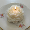 Peonia Vintage